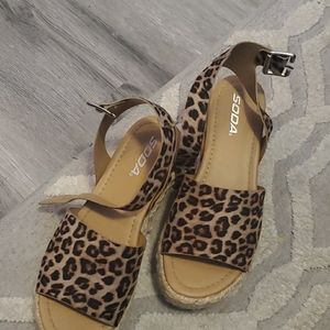 Cheetah platforms